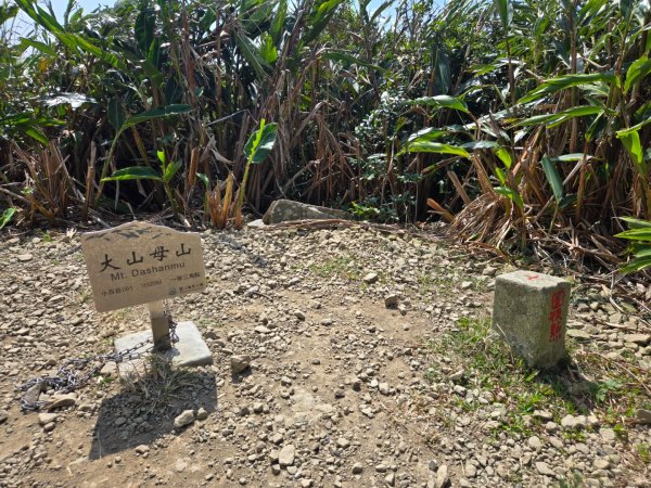 大山母山（小百岳）3007469