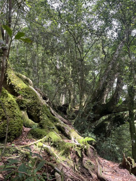 2025_0622 霞喀羅大山2819210