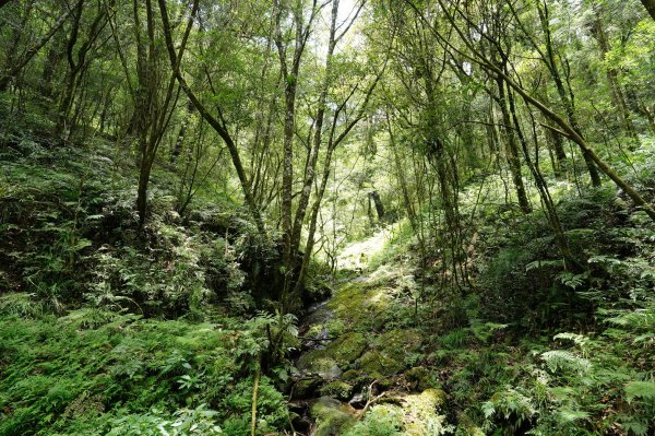 新北 烏來 山車廣山、檜山2567406