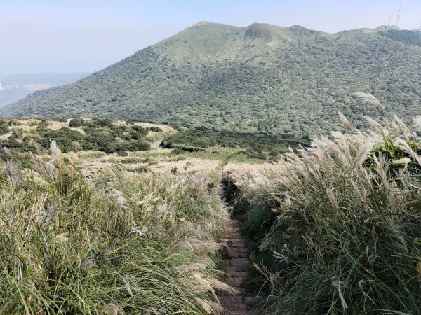 臺北大縱走第2段(大屯山鞍部停車場→面天坪涼亭)2349997