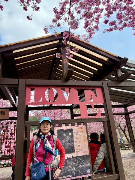 福壽山千櫻園2729948