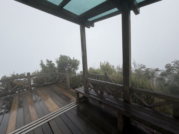 [微笑山線_第八段] 2026_0321 二格山系_二格山3020939