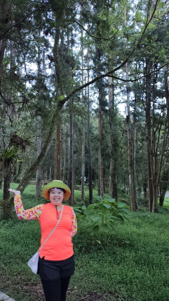 溪頭自然教育園區2938868