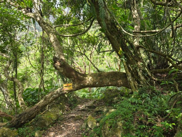 麻荖漏步道、彩虹瀑布2697930