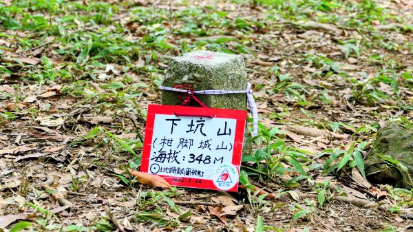 雙溪三柑Ｏ走2839884