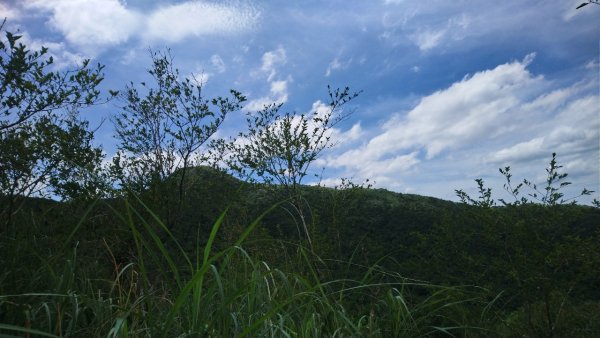 淡蘭古道石空聚落舊址、太和山O走1434082