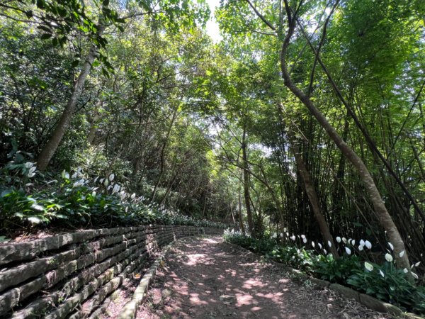 二訪硬漢嶺1745787