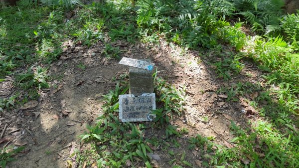 114.06.28內平林山-番子坑山-平湖森林遊樂區之O型2824274