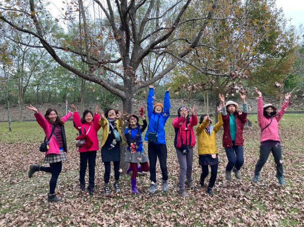 四訪苗栗的花果山-小百岳#037馬那邦山、雪霸國家公園管理處【小百岳集起來、苗栗-臺灣百大必訪步道】2394260