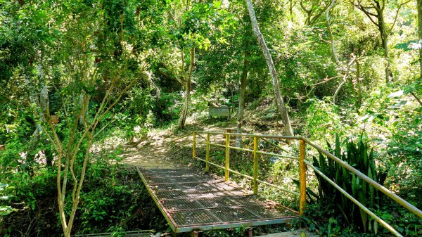 三汀山,苗圃,蝙蝠洞2787352