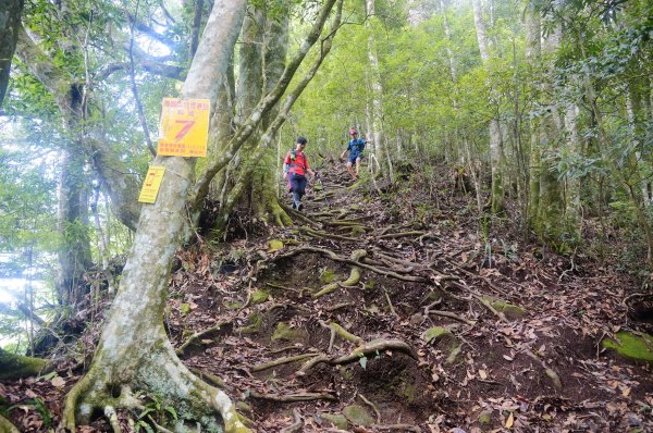 2020.08.08 苗栗鳥嘴(上島)山