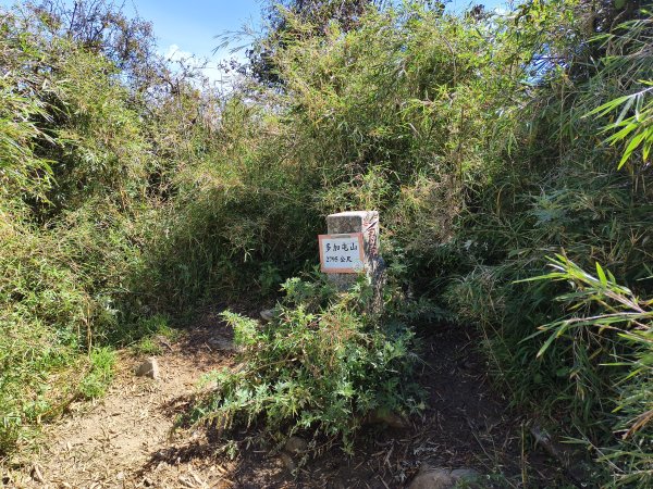 北一段(03/14)多加屯山 2025_0906~132885273