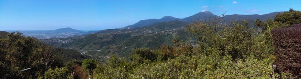 【臺北親山拓印趣】林蔭青蔥的大崙頭尾山738366