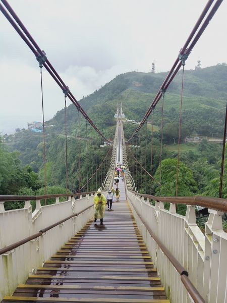 太平雲梯吊橋步道397174