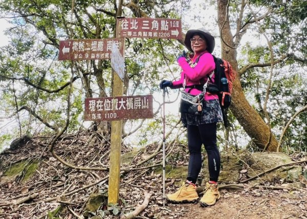 走大橫屏山九份二山(小百岳#45、47)賞梅去2695079