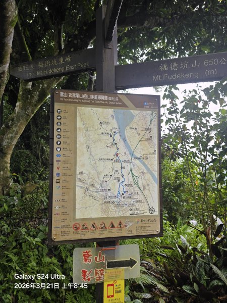 2026-03-21微笑山線：【鳶山山系】鳶山彩壁段3020444