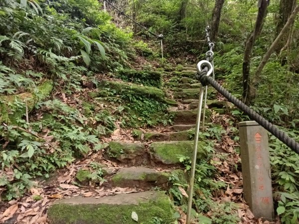 基隆市荖寮坑古道+十分古道(暖東舊道)+頂子寮山(嶺頭土地公)P字走2821563