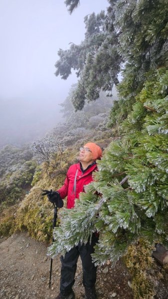 20250319～20嘉明湖國家步道🥶🥶🥶殘念😭2739745