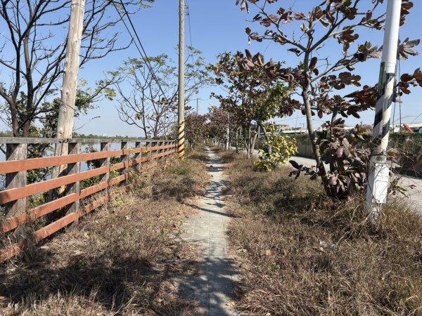 山海圳：內海之路親子行3041800