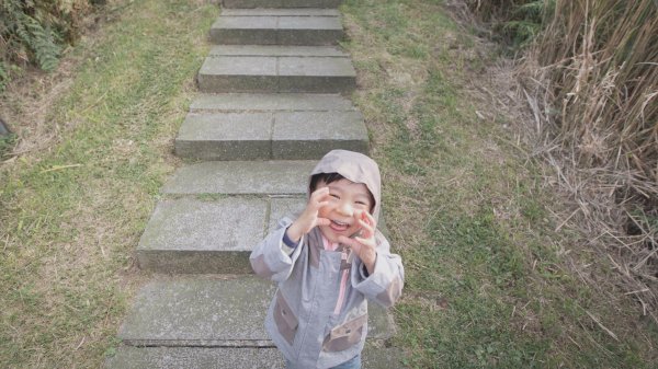 20200411-五分山步道918732