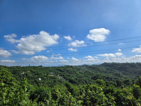 阿罩霧山、中心瓏步道（小百岳）2615697