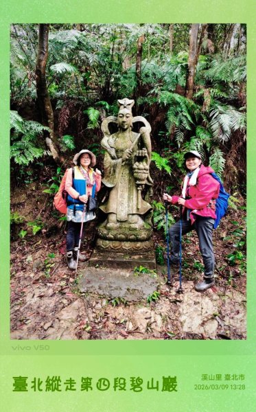 台北縱走第四段訪雙溪山 梅花山與西峰南峰西南峰 碧山3012813