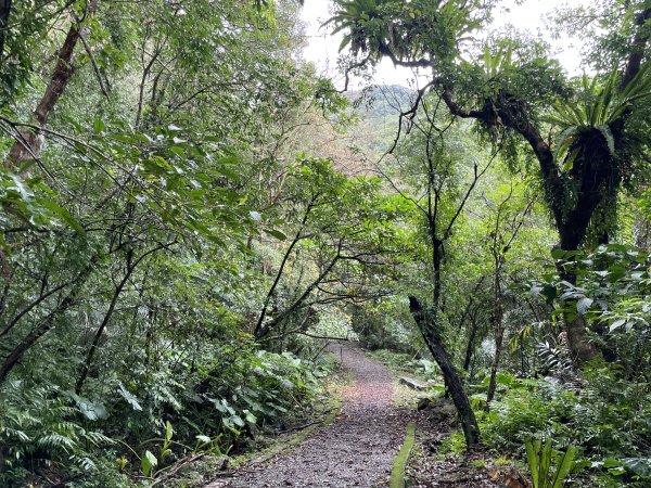 淡蘭古道中路第三段灣潭到威惠廟2974855