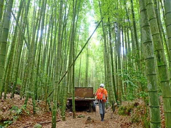 大雪山大崠山避暑趣2019/7/21634437