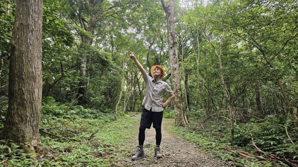 解鎖山頂鳥百山百鳥滿月園任務，滿月圓森林遊樂區是台北近郊瀑布最多的森林遊樂區，夏季首選，涼爽舒服2866663