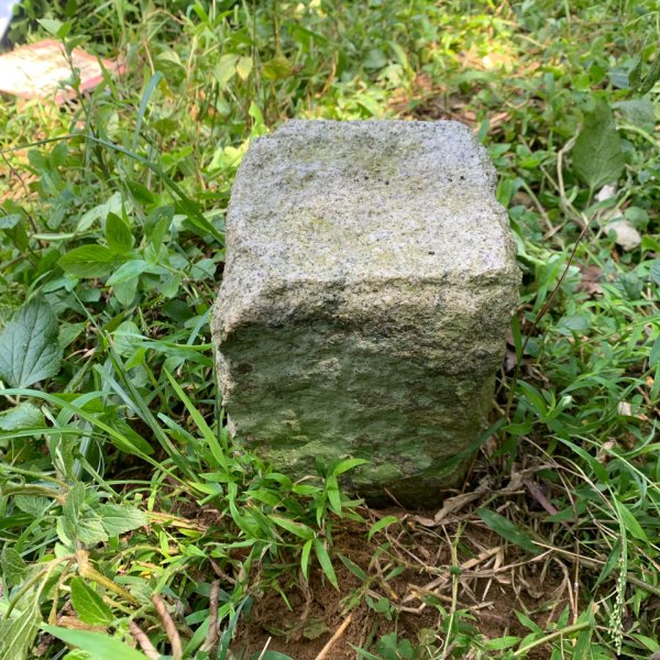 20250913苗栗三湖山2890819