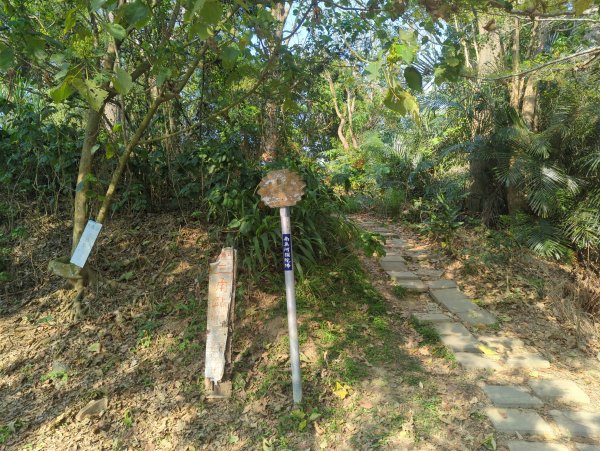 2025.03.24－大崗山2746337