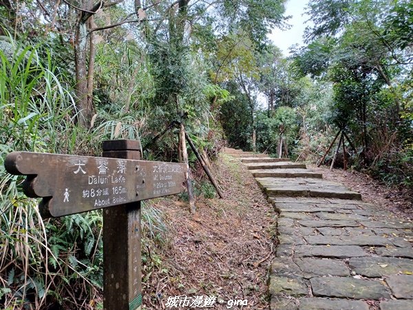 【台北。內湖】山頂好眺望。 小百岳集起來。 編號8小百岳大崙頭尾山親山步道1590475