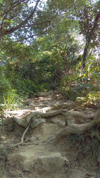 【臺北大縱走6】富陽公園、福州山、中埔山713554