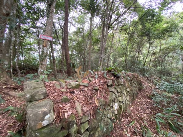 芝生毛台山、虎禮山連走1368964