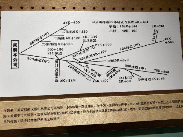 52大小雪山森林步道11310133093070