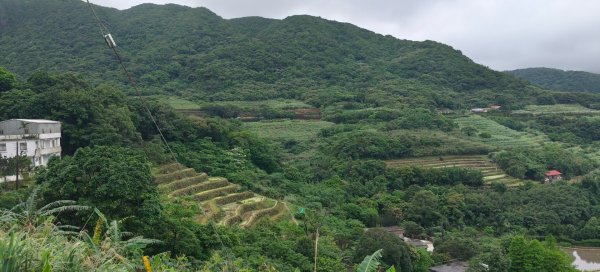 百年嵩山梯田&阡陌步道3051328