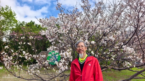 #中山樓 #陽明公園 #十八份 #吉野櫻 #墨染櫻 #青斑蝶 #青帶鳳蝶 #大紅蛺蝶 3/143014885