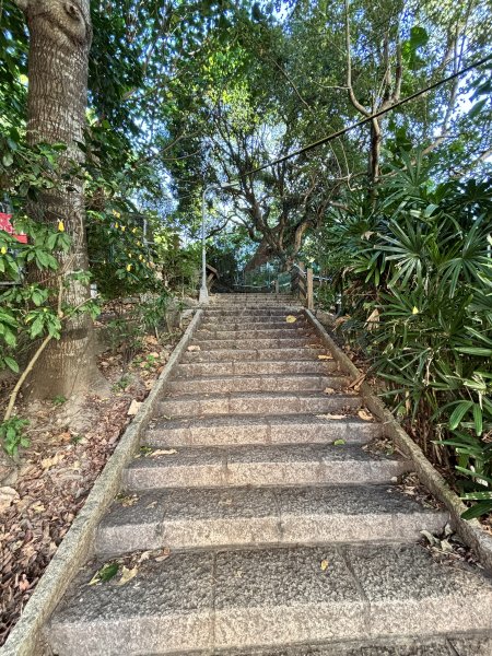 天母古道 + 紗帽山2913874