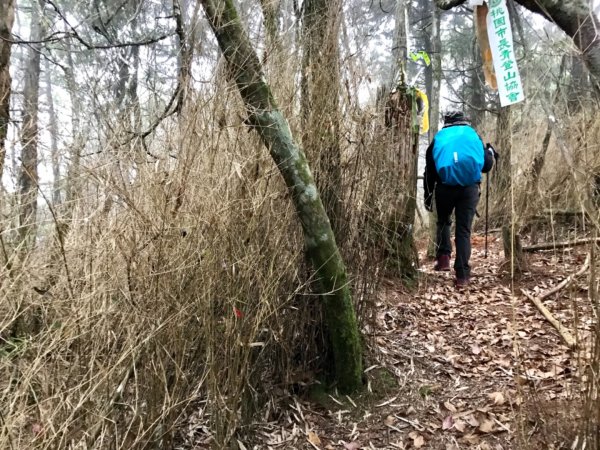 八仙山駐在所環走八仙山1251615