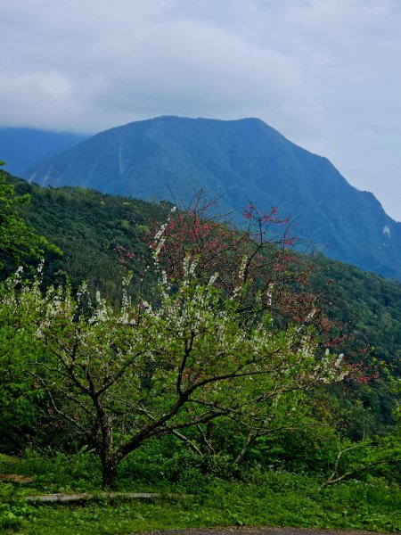 初音山-小百岳#88-花蓮縣吉安鄉2726103