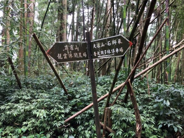 頂湖步道登奮起湖大凍山、霹靂山348559