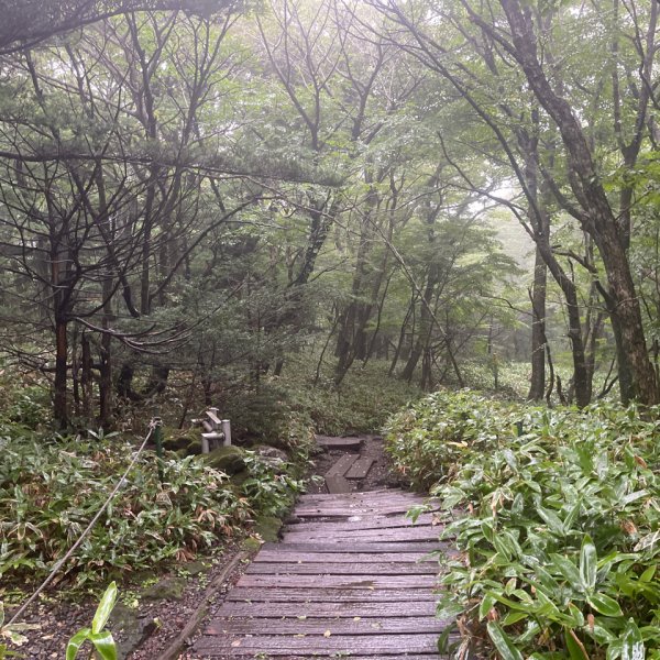 1140811 KR 漢拏山杜鵑花田避難所-紗羅岳觀景臺2860451