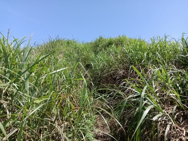 雙溪區不厭亭+牡丹山+樹梅坪+鷹石岩山神廟+不厭亭+奉憲示禁碑+三貂崙+不厭亭8字走2766225
