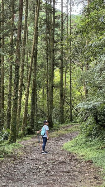 20240814坪溪古道十太和山封面