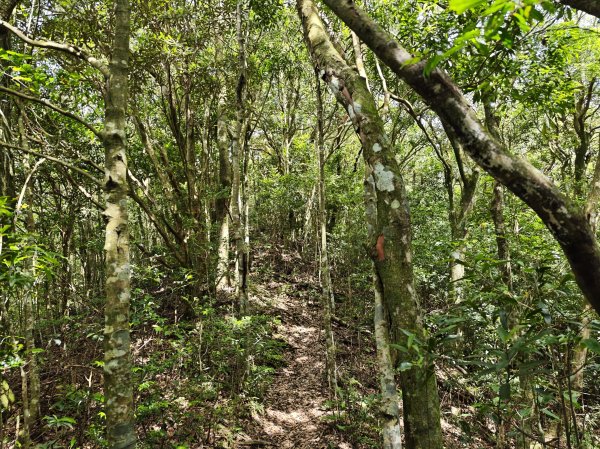 2025_0601 赫威山2802316