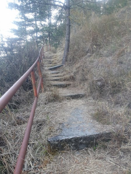 高繞畢祿山1620268