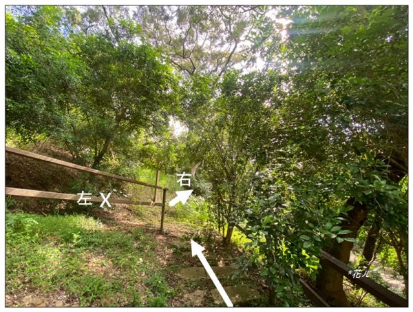 土地公坑山 新路線 (彰化、花壇)3070355