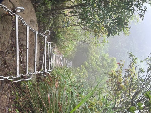 皇帝殿202603293035834