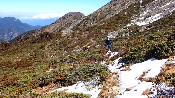 雪山西峰/博可爾山/翠池三叉山與五翠池悠閒走探的山遊記(三日)2838504