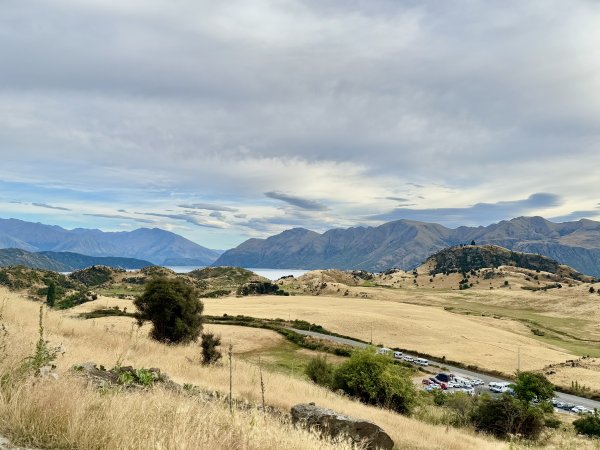 紐西蘭之旅-羅伊峰（Roy Peak ）Hiking 2025.1.282709640